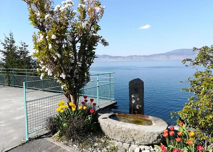 Le Leman 3* Saint-Gingolph