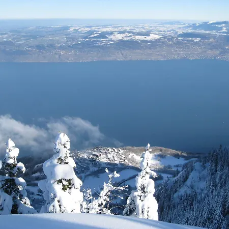 酒店 乐莱蒙酒店